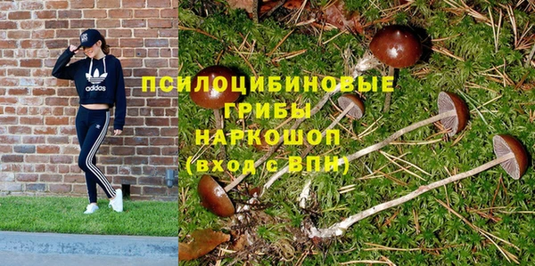 СК Верея