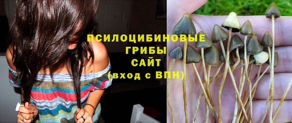 СК Верея